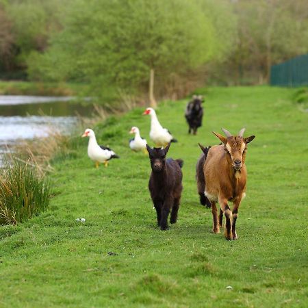 Gites De La Ferme De Vur Ven Gouvieux Ngoại thất bức ảnh