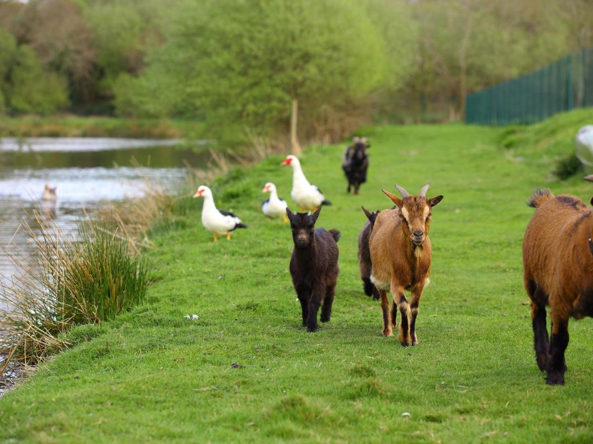 Gites De La Ferme De Vur Ven Gouvieux Ngoại thất bức ảnh